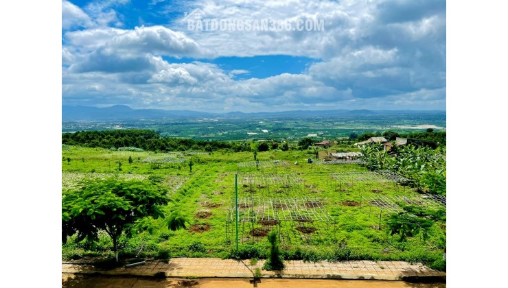 ĐẤT ĐẦU TƯ NGHĨ DƯỠNG – VIEW ĐẸP – TẠI TÂN HÀ LÂM HÀ – VEN THÀNH PHỐ DALAT