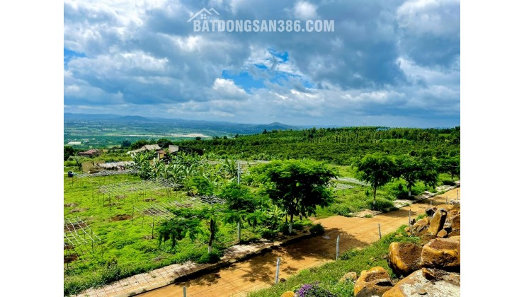 ĐẤT ĐẦU TƯ NGHĨ DƯỠNG – VIEW ĐẸP – TẠI TÂN HÀ LÂM HÀ – VEN THÀNH PHỐ DALAT