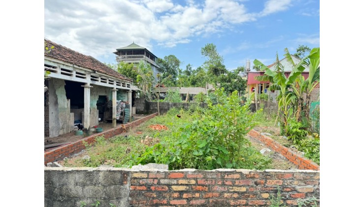 Bán đất Hợp Châu, Tam Đảo, Vĩnh Phúc. Mặt nhựa kinh doanh, View đồng, DT 81m, giá 1,5 tỷ.