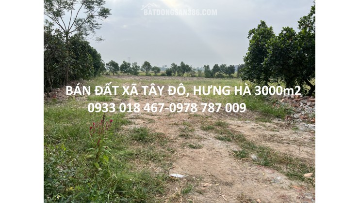 Bán đất xã tây đô, hưng hà, thái bình trục huyện 3000m2-2tr/m2-0933018467-0978787009