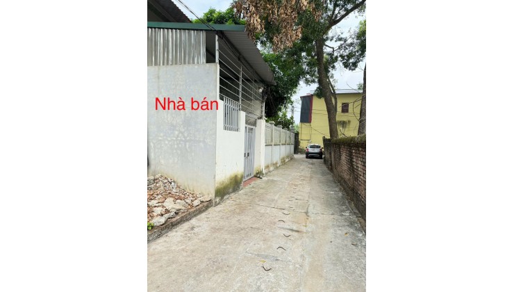 Bán đất tặng nhà Thường Lệ, Đại Thịnh, Mê Linh, HN. DT 50m, giá 1,78 tỷ.