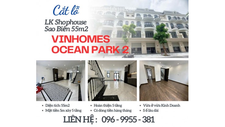 Siêu phẩm Shophouse Sao Biển giá cắt lỗ RẺ nhất Vinhomes Ocean Park 2 The Empire