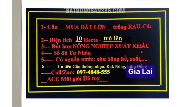 CẦN TÌM MUA ĐẤT LỚN: 10 (HECTA) - 300 (HECTA) QUANH KHU VỰC TP GIA NGHĨA. LH:0974848555.