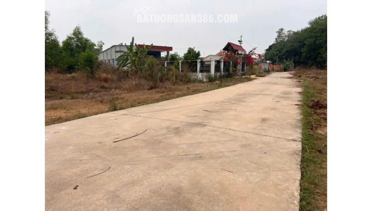 Cần 15x 67 (1000m2) Minh Thắng, TX Chơn Thành, Giá 195tr ( nguyên lô)