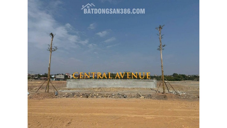 DỰ ÁN CENTRAL AVENUE LỤC NAM – CƠ HỘI ĐẦU TƯ SINH LỜI ĐỈNH CAO!