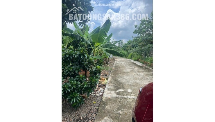 Chính chủ kẹt tiền cần bán gấp đất vườn 2500m2 tại Thống Nhất, Đồng Nai - Giá chỉ 750 triệu