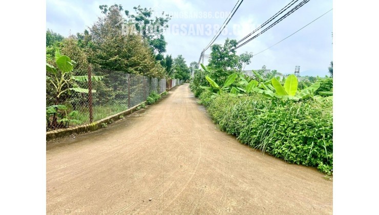 Chính chủ kẹt tiền cần bán gấp đất vườn 2500m2 tại Thống Nhất, Đồng Nai - Giá chỉ 750 triệu