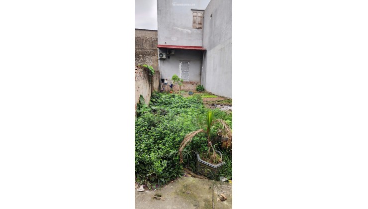 CHÍNH CHỦ BÁN ĐẤT THUẬN THÀNH, BẮC NINH, DT 55M2 THỔ CƯ 100%, SỔ ĐỎ RIÊNG, 1.8 TỶ. LH:0962265660