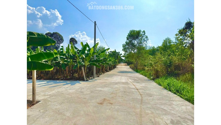 ĐẤT VƯỜN CÂY ĂN TRÁI 1000M² GẦN KCN LONG KHÁNH – GIÁ CHỈ 750 TRIỆU – CÓ SẴN CÂY, ĐƯỜNG Ô TÔ, PHÁP LÝ RÕ RÀNG