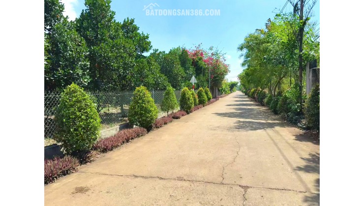 ĐẤT VƯỜN CÂY ĂN TRÁI 1000M² GẦN KCN LONG KHÁNH – GIÁ CHỈ 750 TRIỆU – CÓ SẴN CÂY, ĐƯỜNG Ô TÔ, PHÁP LÝ RÕ RÀNG