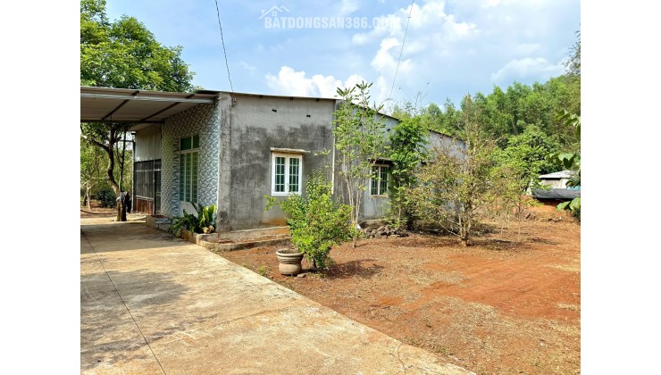 ĐẤT VƯỜN CÓ SẴN 300M2 THỔ CƯ - SẴN NHÀ MÁI THÁI – MẶT TIỀN ĐƯỜNG 770B - NGAY NÚT GIAO CAO TỐC - SÂN BAY LONG THÀNH