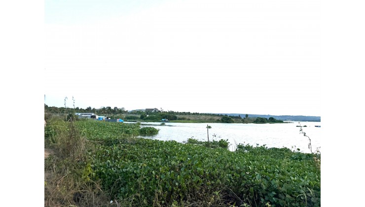 BÁN VƯỜN CÂY ĂN TRÁI MẶT HỒ TRỊ AN - VIEW ĐẸP, TRONG LÀNH - CÁCH TP.HCM CHỈ 70PH DI CHUYỂN