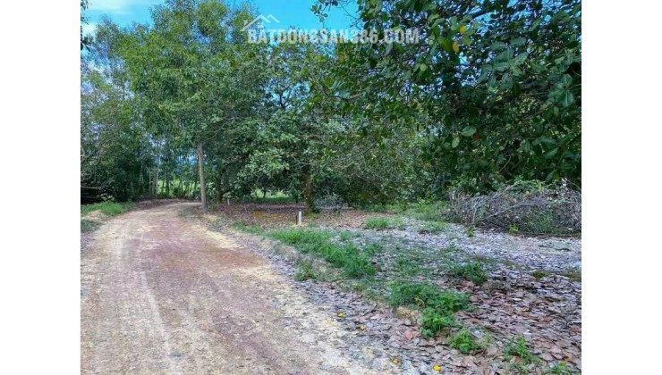 CHỦ CẦN TIỀN BÁN GẤP LÔ ĐẤT 5000M2 GẦN HỒ TRỊ AN - SẴN VƯỜN CÂY ĂN TRÁI