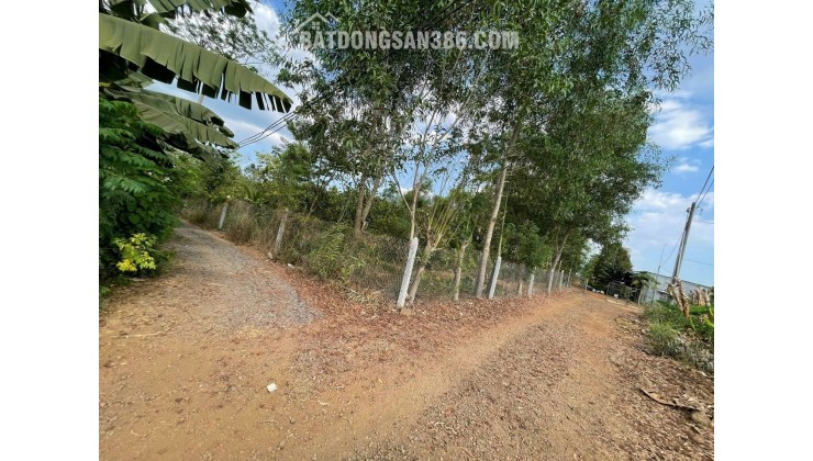 CHỦ CẦN TIỀN BÁN GẤP LÔ ĐẤT 5000M2 GẦN HỒ TRỊ AN - SẴN VƯỜN CÂY ĂN TRÁI
