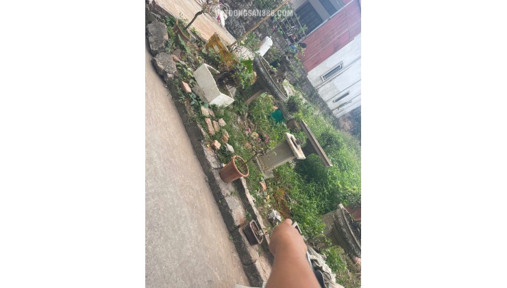 Cơ hội đầu tư đất thổ cư Đôn Thư – Kim Thư, 55,7m², mặt tiền rộng, đường thông thoáng