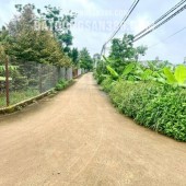 Chính chủ kẹt tiền cần bán gấp đất vườn 2500m2 tại Thống Nhất, Đồng Nai - Giá chỉ 750 triệu