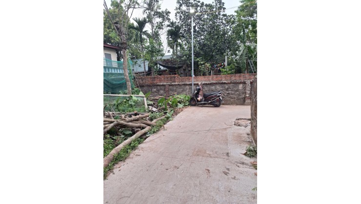 Cần bán lô đất 83m² hướng Đông Nam, giá tốt đầu tư tại thôn Bãi, xã Cao Viên, huyện Thanh Oai.