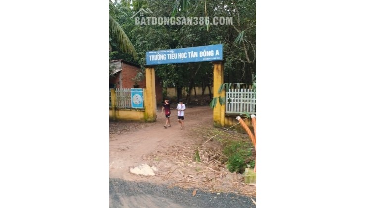 Ngộp lãi cắt lỗ sâu đất đường nhựa, tại xã Tân Đông,Tân Châu, Tây Ninh