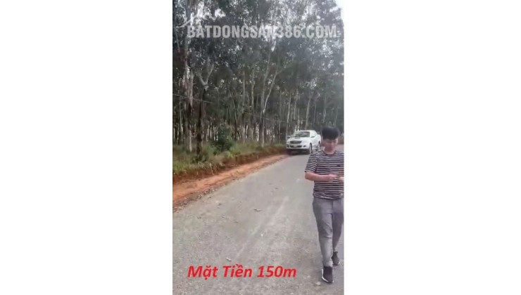 GIA ĐÌNH CHO CON VỀ SAIGON HỌC CẦN NHƯỢNG LẠI 55320 M2 (5,5HA) ĐẤT LÂM NGHIỆP LH:0931351494