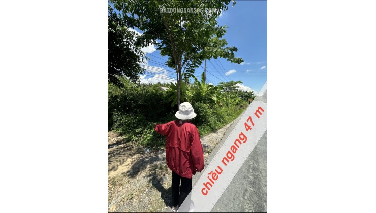 BÁN ĐẤT ĐẸP TẠI AN TRƯỜNG, CÀNG LONG, TRÀ VINH, 4700M2 CHỈ 250TR/1M NGANG. LH:0966397739