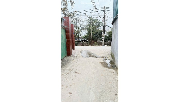 Chính chủ cần bán gấp lô đất thổ cư 58m² tại thôn Thiên Đông, xã Mỹ Hưng, huyện Thanh Oai
