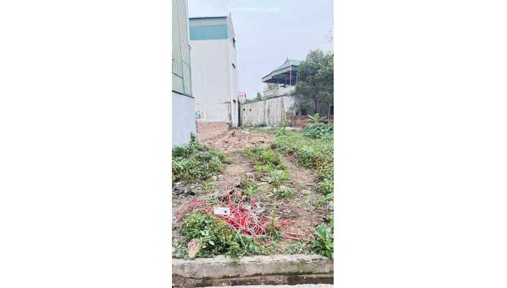 Chính chủ cần bán gấp lô đất thổ cư 58m² tại thôn Thiên Đông, xã Mỹ Hưng, huyện Thanh Oai