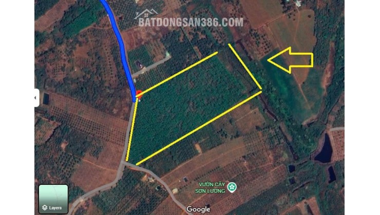 GIA ĐÌNH CHO CON VỀ SAIGON HỌC CẦN NHƯỢNG LẠI 55320 M2 (5,5HA) ĐẤT LÂM NGHIỆP LH:0931351494