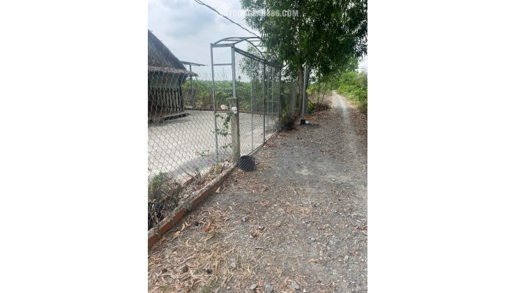 BÁN ĐẤT XÃ BÌNH ĐỨC HUYỆN BẾN LỨC T.LONG AN, 538M2 SDR 848TR. LH:0392403568 - 0909432893.