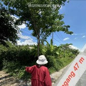 BÁN ĐẤT ĐẸP TẠI AN TRƯỜNG, CÀNG LONG, TRÀ VINH, 4700M2 CHỈ 250TR/1M NGANG. LH:0966397739