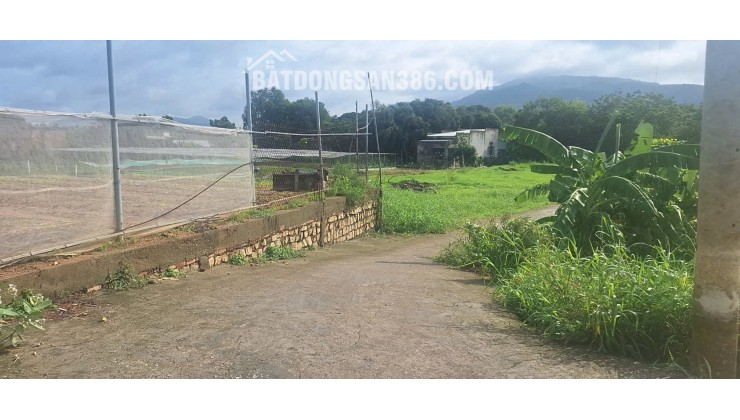 BÁN ĐẤT ĐƯỜNG TRÁNH QL56 TÂN HẢI, PHÚ MỸ, BÀ RỊA VŨNG TÀU. 1773M2 CÓ 300M2 THỔ CƯ. LH:0588201669