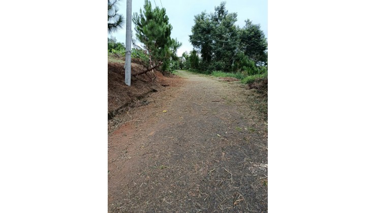 Bán 522m2 sẵn 100m2 đất thổ cư chính chủ tại thôn 10A Lộc Thành, Bảo Lâm