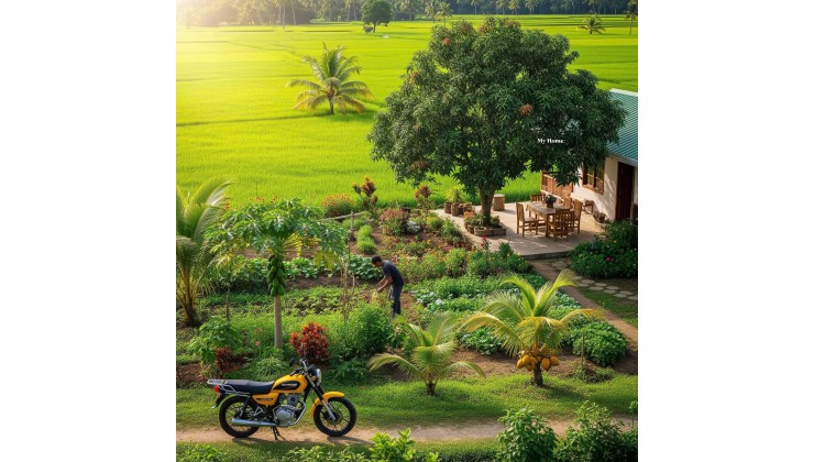 Chính chủ cần bán hơn 1000m2 sẵn 200m2 thổ cư săn mây Lộc Thành