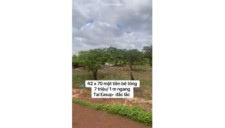 KẸT TIỀN BÁN GẤP 3361,1MV ĐẤT CÁCH XÃ CƯ K BANG, E A SÚP, ĐẮC LẮC 1.5KM CHỈ 300TR. LH:0888889603