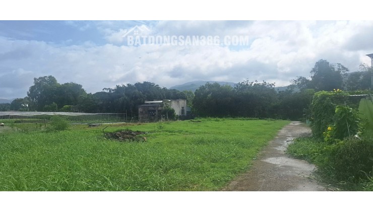 BÁN ĐẤT ĐƯỜNG TRÁNH QL56 TÂN HẢI, PHÚ MỸ, BÀ RỊA VŨNG TÀU. 1773M2 CÓ 300M2 THỔ CƯ. LH:0588201669
