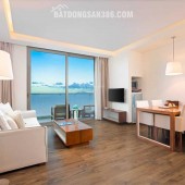 Mở bán căn hộ cao cấp Times Square view mặt biển Mỹ Khê, giá gốc từ CDT, dòng tiền hằng th