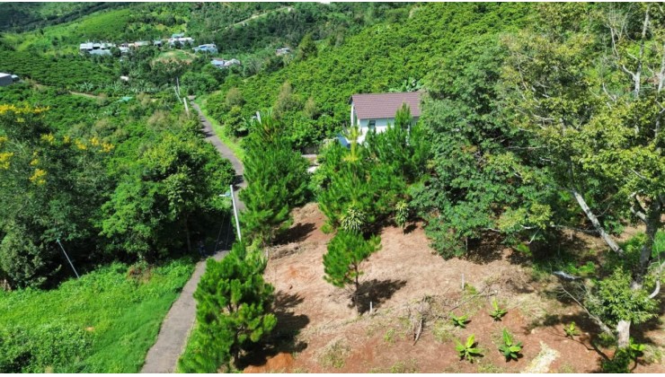 Chính chủ bán hơn 1 sào đất sẵn 200m2 thổ cư săn mây Lộc Thành