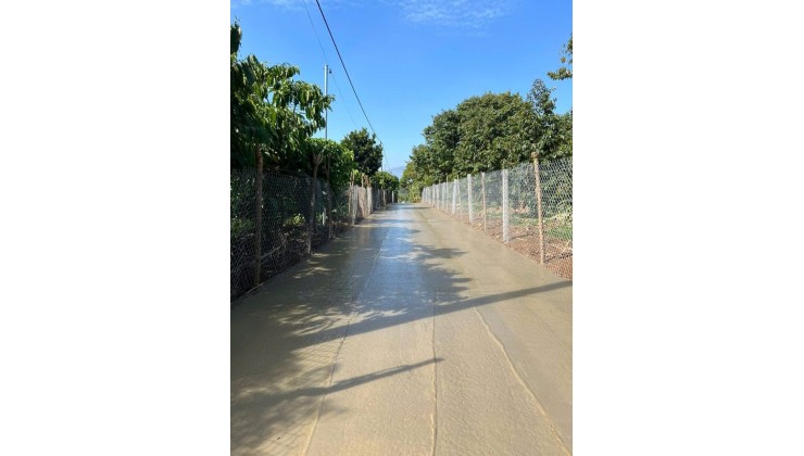 Bán đất giá siêu rẻ, siêu ngộp tại thôn 4 Tân Lạc, Bảo Lâm, Lâm Đồng