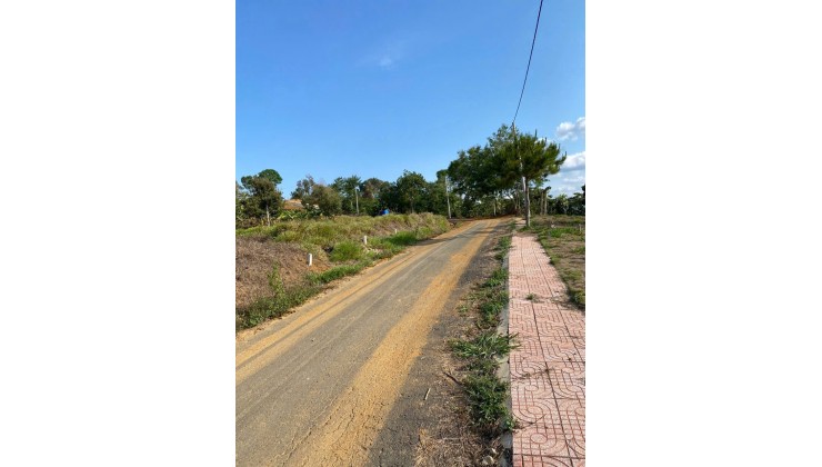 Cần bán 3 lô đất giá rẻ sẵn 101m2 thổ cư mỗi lô tại Tân Lạc