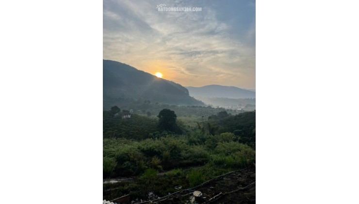 BÁN HOẶC CHO THUÊ BIỆT THỰ 420m2 - 3PN - SÁT DALAT, VIEW RỪNG THÔNG. LH:0909206662.
