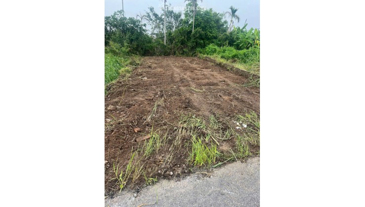 Bán đất mặt đường Nhà Mạc, Hòa Nghĩa, Dương Kinh