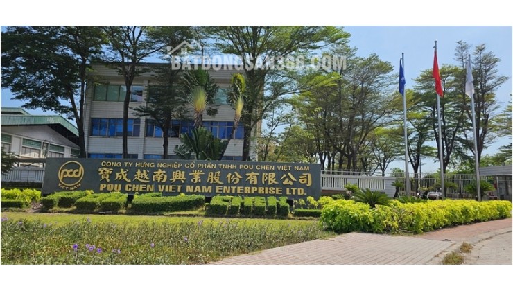 X099 bán xưởng sản xuất kinh doanh khung thép tiền chế, vị trí thuận lợi. trống xưởng