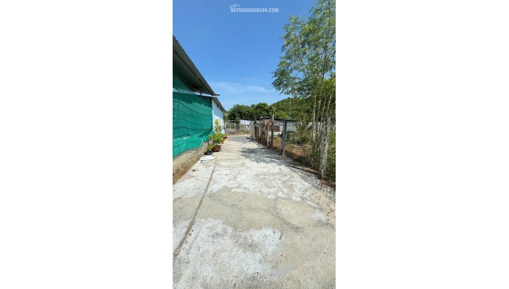 Bán lô đường tổ 4 diên lạc đường ô tô giá chỉ 820tr (tl)
