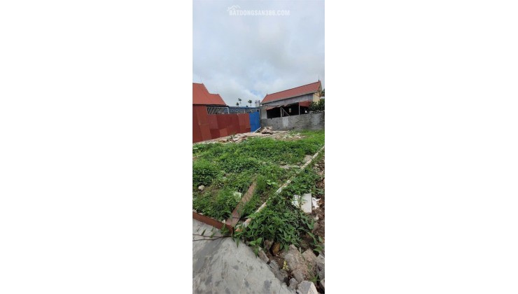 Bán đất Vũ Vị, xã Minh Tân, Hải Phòng