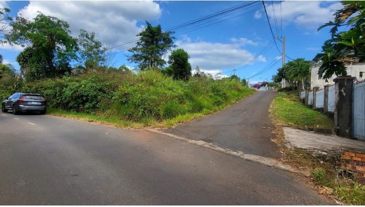 Chủ gửi bán 3 lô đất F0 tại hẻm 38 Lý Chính Thắng, Bảo Lộc