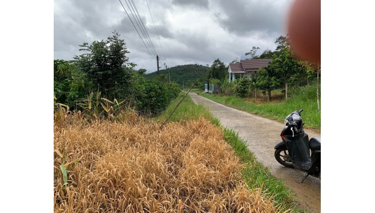 Bán đất giá rẻ thôn 10A Lộc Thành, nay là xã Bảo Lâm 3
