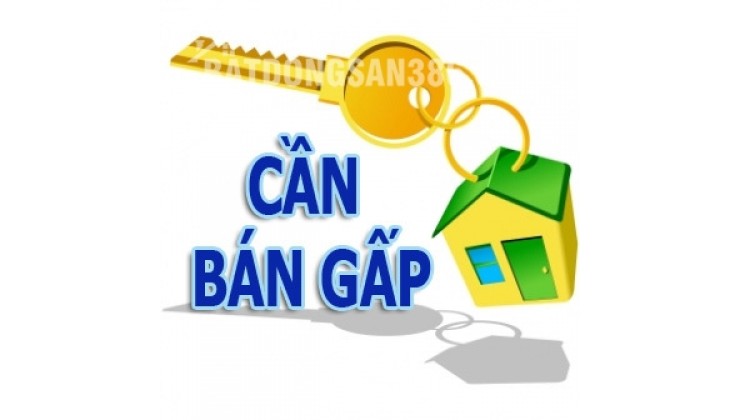 Siêu Hot: 1ha Đất Mặt Tiền 50m Nguyễn Trung Trực, Dương Đông – Giá 50tr/m²