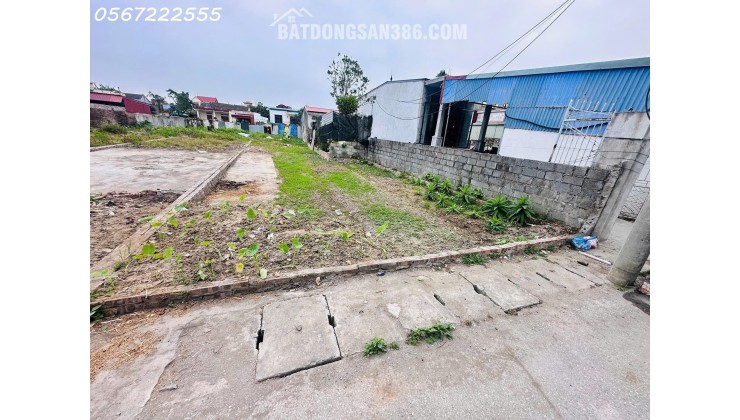 Chính chủ bán đất tuyến 2 tỉnh lộ 403, thôn Ngũ Đoan, huyện Kiến Thụy, Hải Phòng.