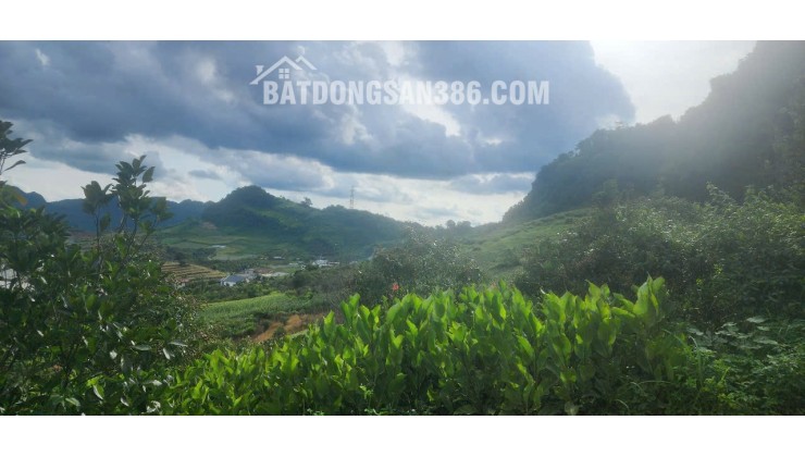 BÁN NHANH LÔ ĐẤT NGHỈ DƯỠNG SIÊU TIỀM NĂNG GẦN CẦU KÍNH BẠCH LONG