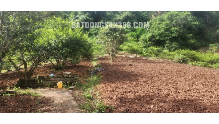 BÁN NHANH LÔ ĐẤT NGHỈ DƯỠNG SIÊU TIỀM NĂNG GẦN CẦU KÍNH BẠCH LONG