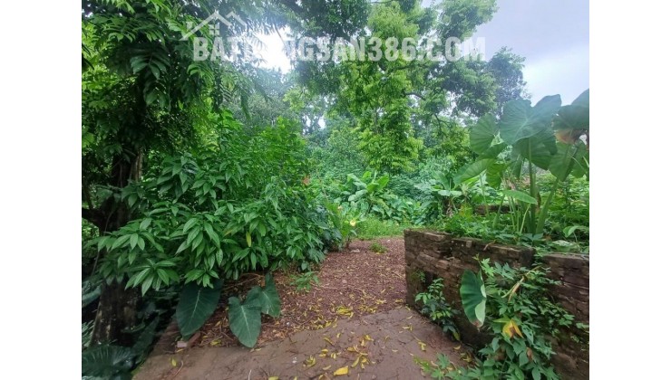 CHÍNH CHỦ CẦN BÁN LÔ ĐẤT 470 TẠI TIÊN PHƯƠNG-CHƯƠNG MỸ-HÀ NỘI